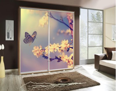 Szafa przesuwna do przedpokoju, sypialni, salonu PAOLA 205cm z długim drążkiem i półkami dwudrzwiowa z grafiką motyl, kwiaty