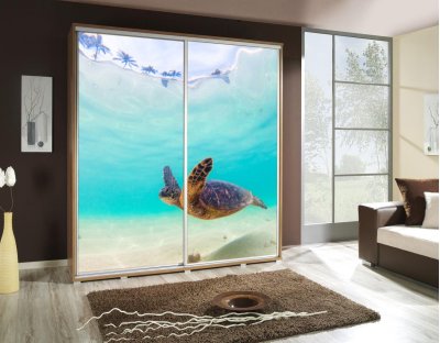 Szafy przesuwne do sypialni, młodzieżowe, oryginalne. Szafa z nadrukiem, grafiką - ŻÓŁW